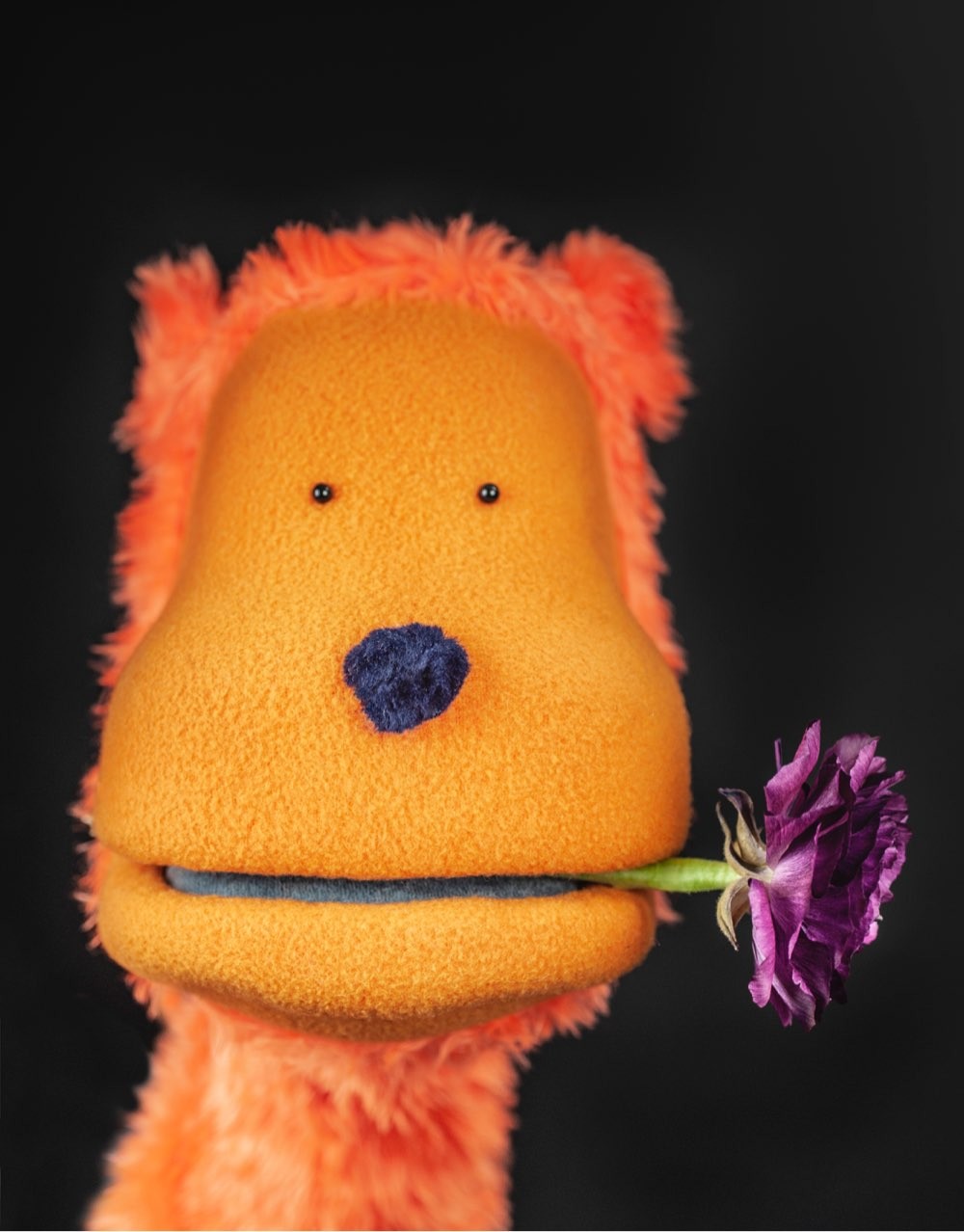 The orange puppet <q>Crisis Advisor</q> with a flower in his mouth.
