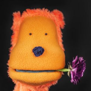Den oransje hånd-dukken <q>Kriserådgiver</q> med en blomst i munnen