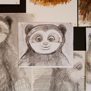 Pencil sketches of Bo Bear