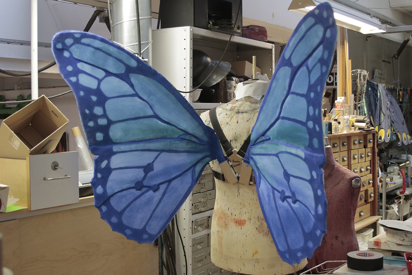 Blue butterfly wings displayed on a tailor’s dummy
