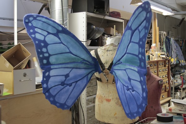 Blue butterfly wings displayed on a tailor’s dummy