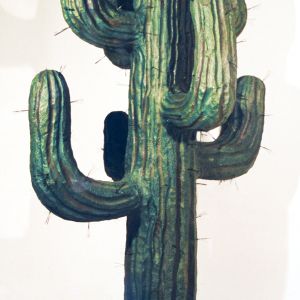 A green, large cactus with spines