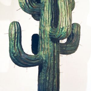 En stor, grønn kaktus med nåler