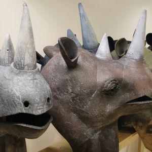 Rhinoceros heads