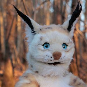 Et portrett av Bluč i skogen