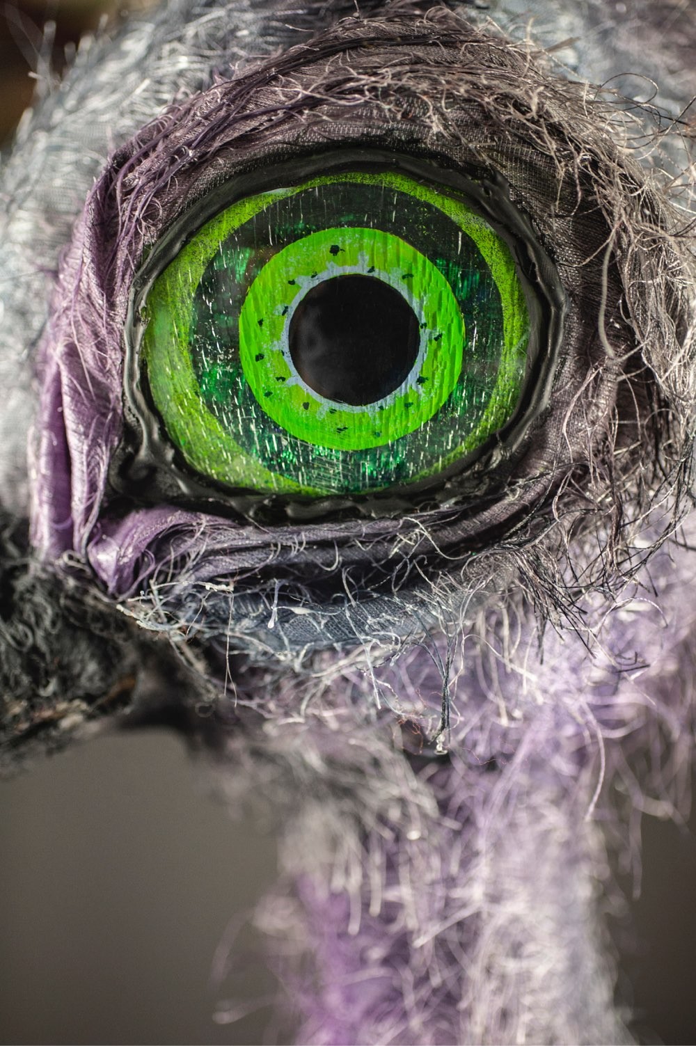 A close-up image of the green and black eye of Claudia the ostrich