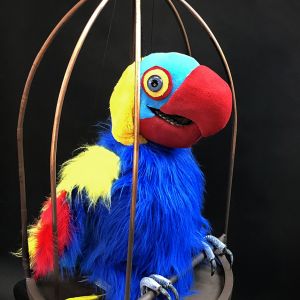 A colourful parrot
