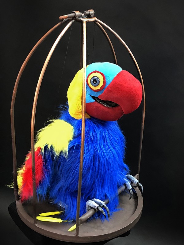 A colourful parrot