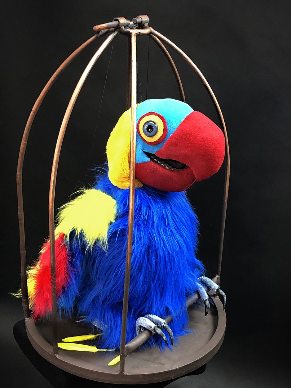 A colourful parrot
