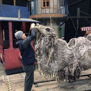 Sean is adjusting the camel´s head backstage.